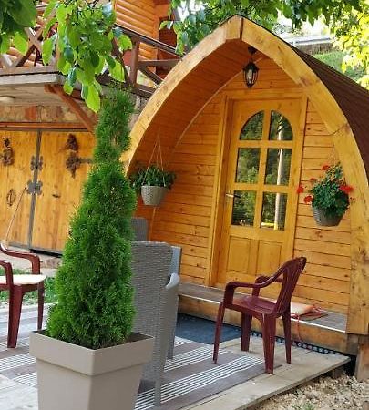 Vila Jelena - Bungalov Crni Vrh Εξωτερικό φωτογραφία